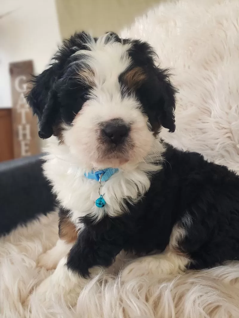 Otis-Health Tested Parents